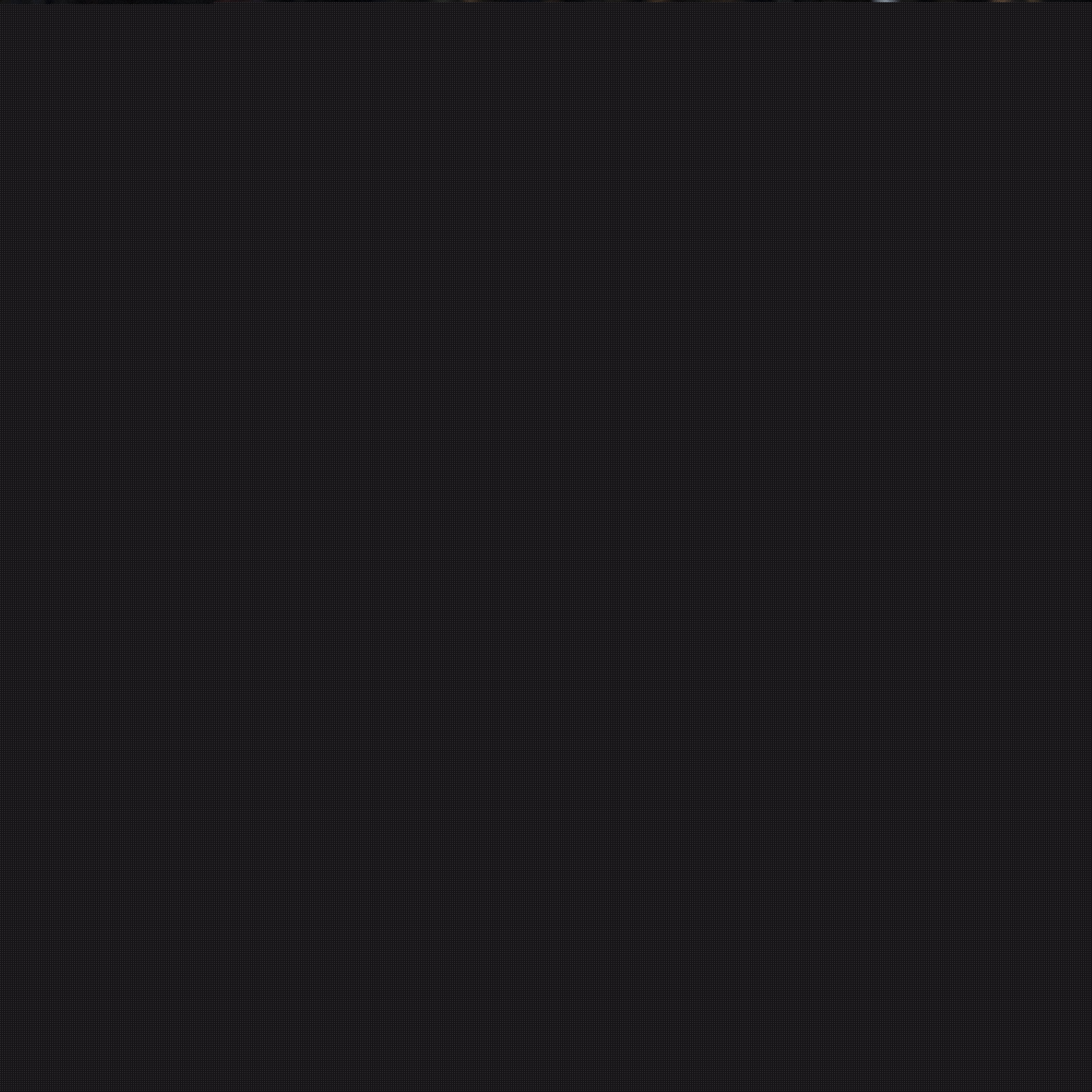 生表示