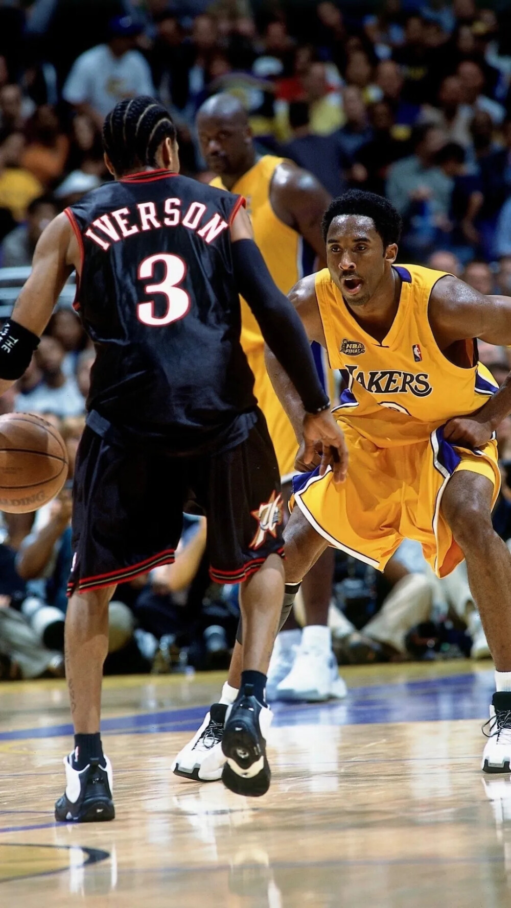 30龙逼视 30龙逼视