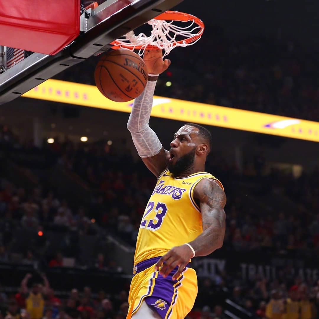 理性核心的 理性核心的